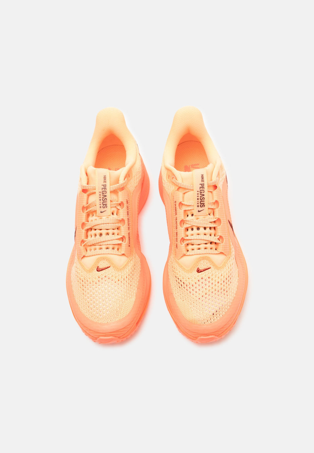 Nike Performance PEGASUS PREMIUM