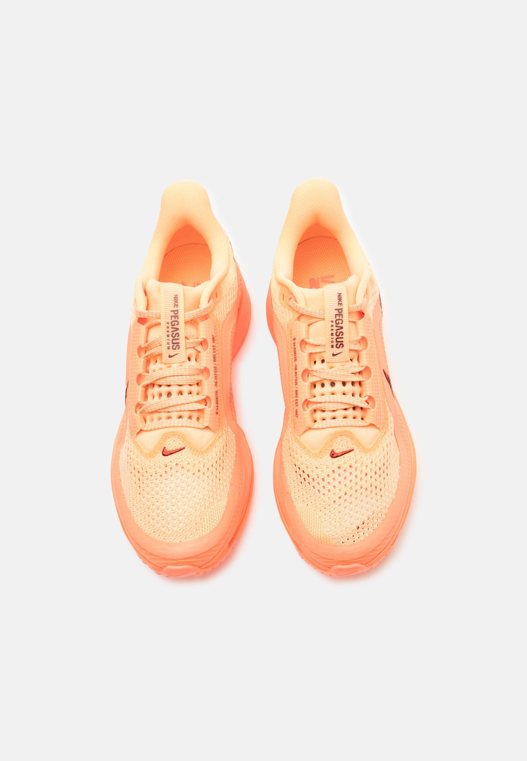 Nike Performance PEGASUS PREMIUM