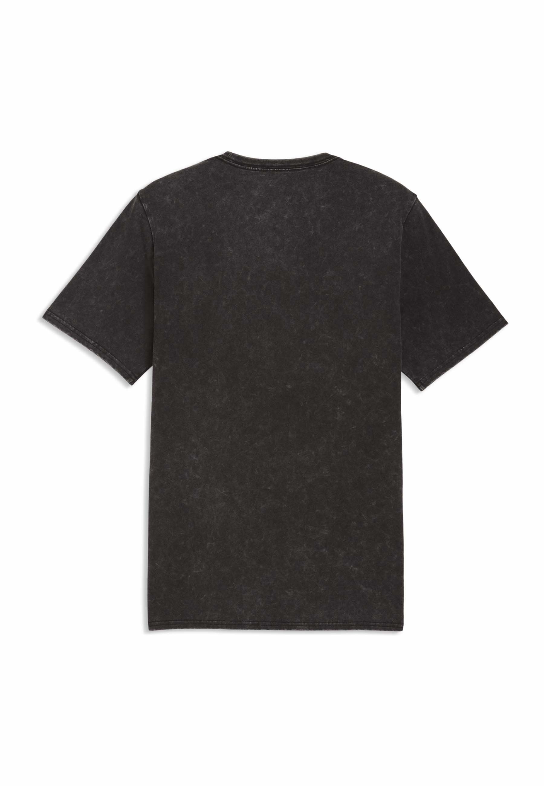 Puma FANPACK 90S TEE GERMANY