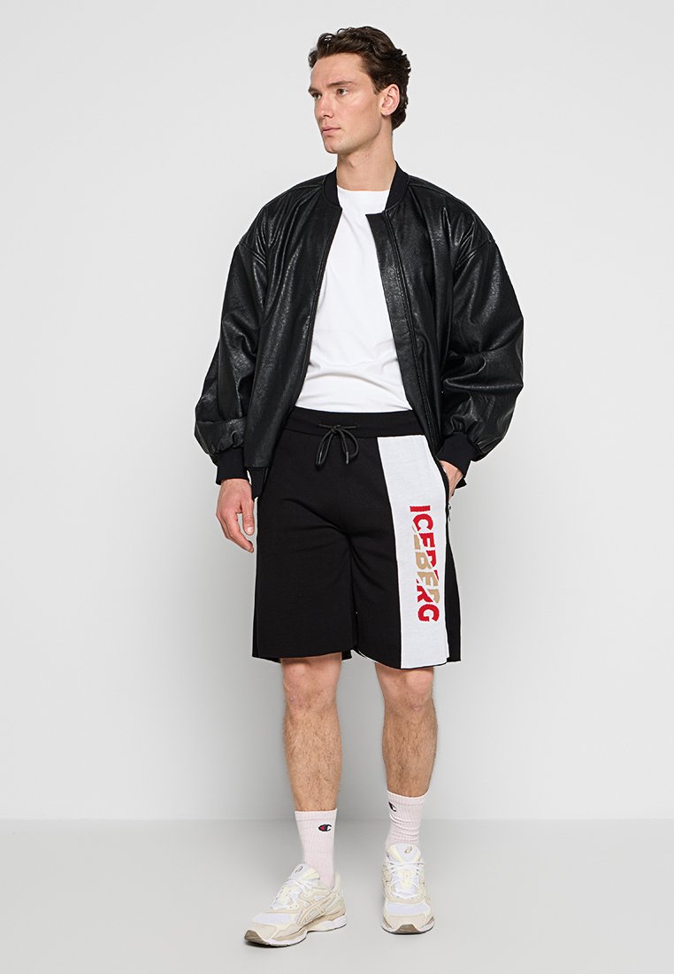 Iceberg
