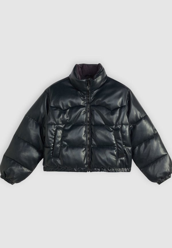 Levi's® NOE WESTERN - Winter jacket - anthracite night