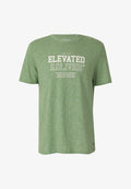 s.Oliver Print T-shirt - salbeigrün