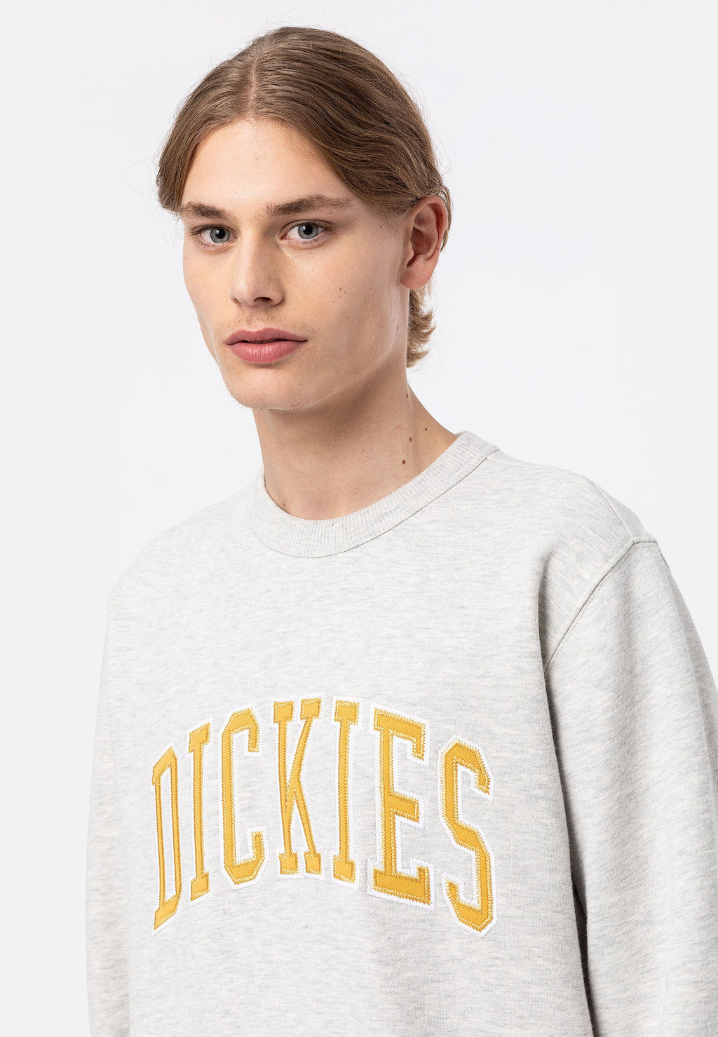 Dickies AITKIN  LINCOLN
