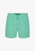 Calvin Klein Swimwear MEDIUM DRAWSTRING WAISTBAND - GRAPHIC MONOGRAM  - Swimming shorts - penny stripe+mardi gras green