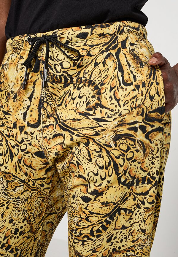 Just Cavalli