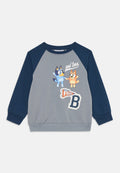 Name it Sweat Bluey