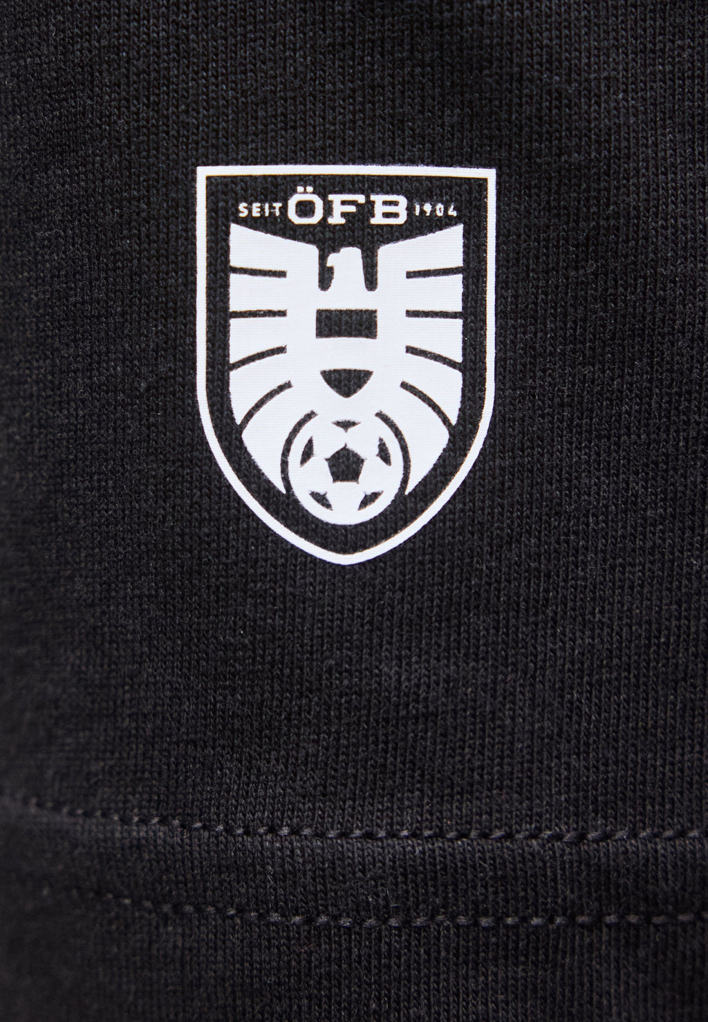 Puma AUSTRIA ÖFB KING LOGO TEE