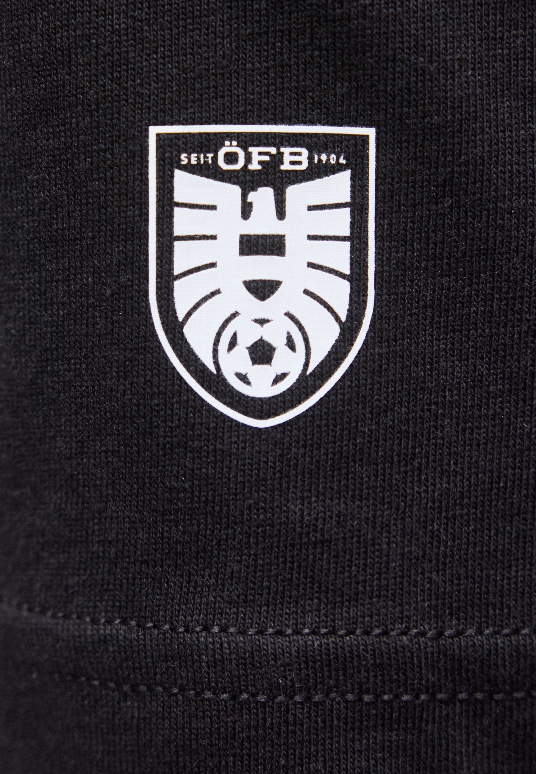 Puma AUSTRIA ÖFB KING LOGO TEE