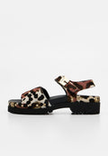 Scholl IRIS