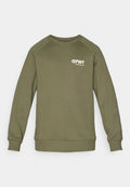 Oliven grüner Sweatshirt aus weichem Stoff, mit rundem Halsausschnitt und gerippten Bündchen. Auf der Vorderseite befindet sich ein weißes FWT-Logo.