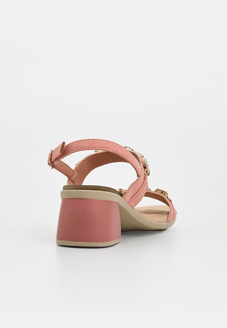Scholl RAMBLA