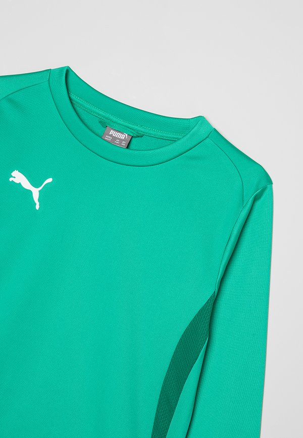 Puma TEAMGOAL