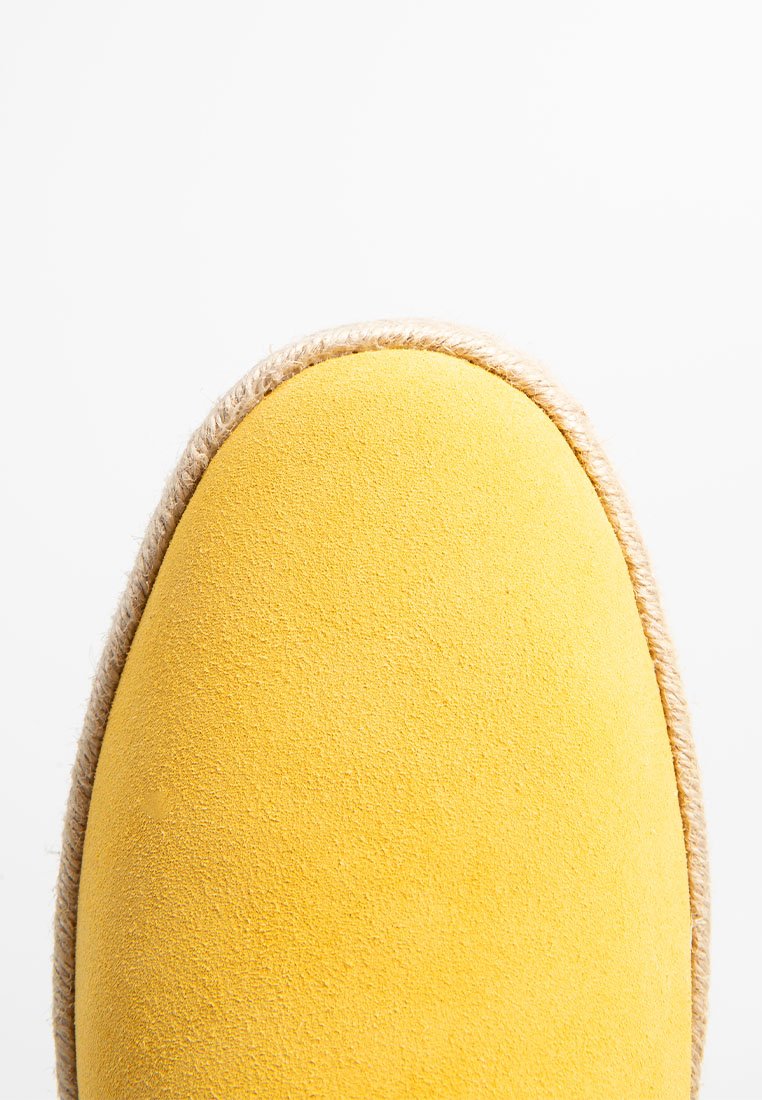TOMS