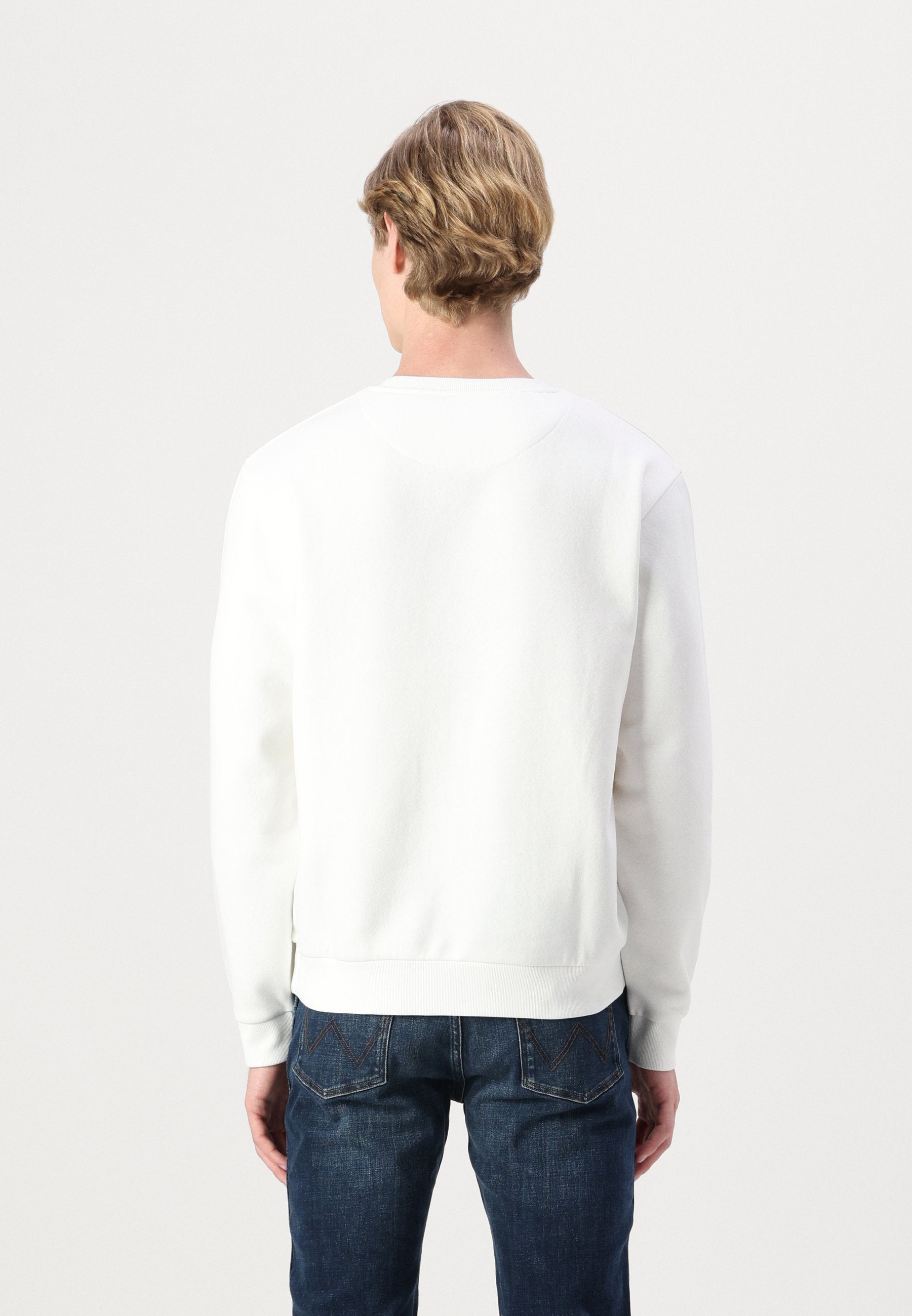 Jack & Jones JJEBRADLEY SWEAT CREW NOOS