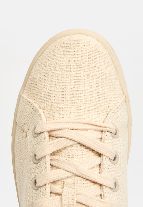 TOMS KAMERON
