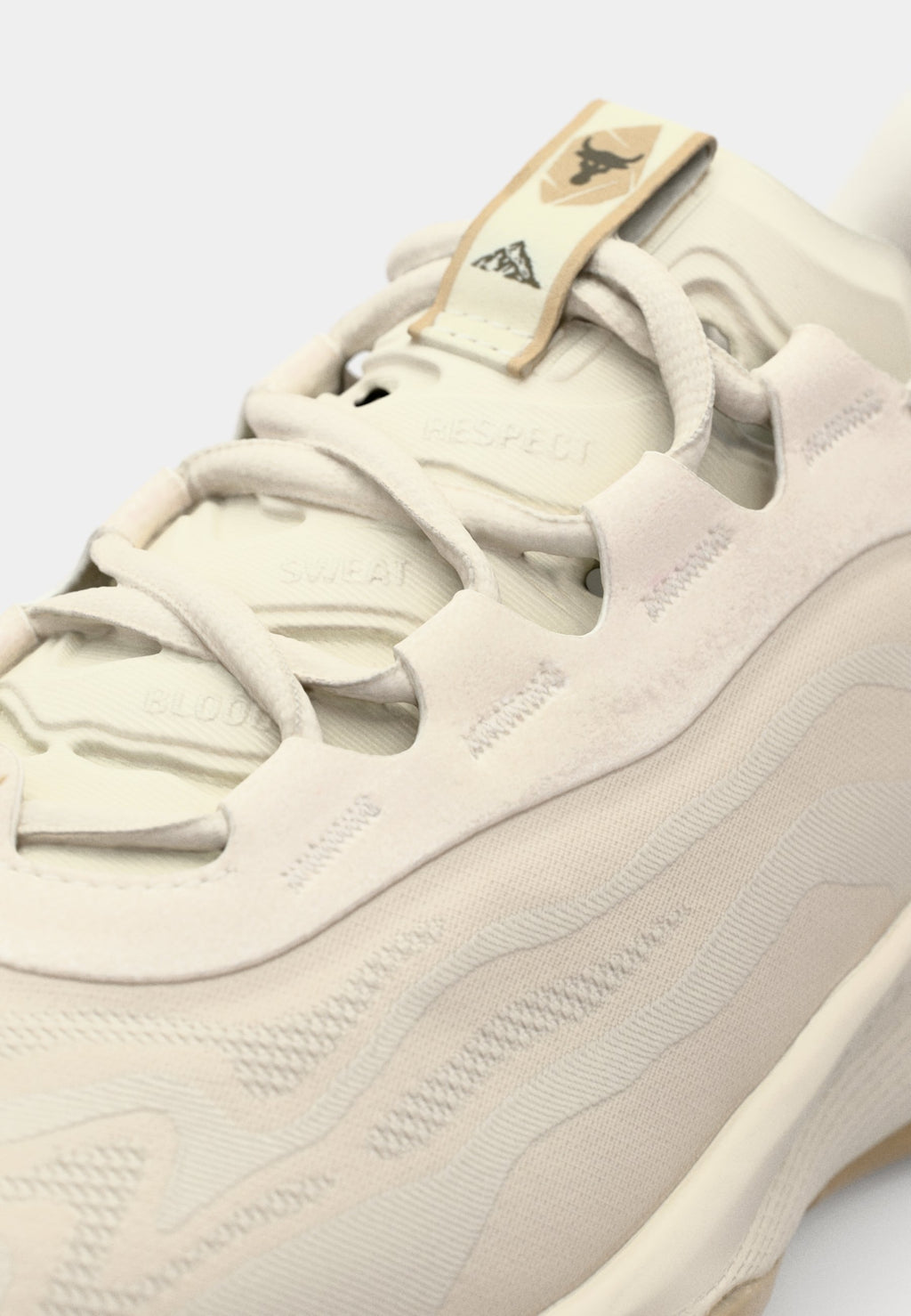 Under Armour PROJECT ROCK 8