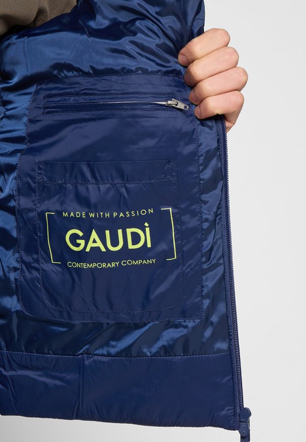 Gaudi