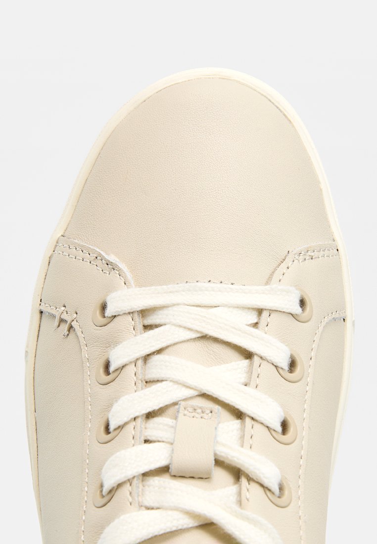 TOMS KAMERON