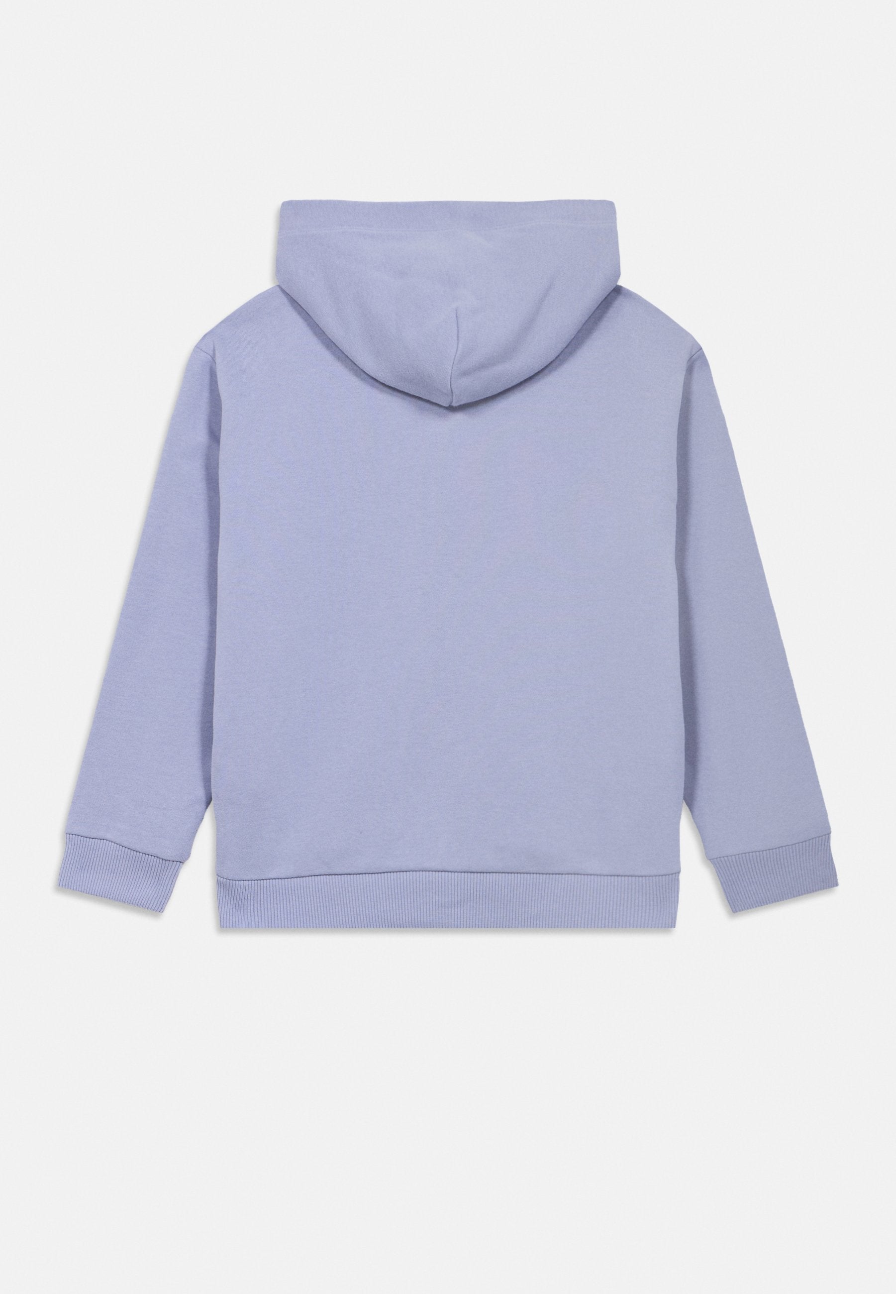 LOGO BRUSHED FLEECE ZIP-THRU HOODY Media 2