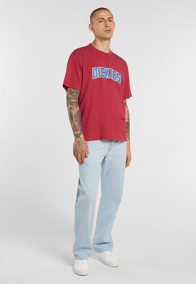 Dickies STRAIGHT WORK