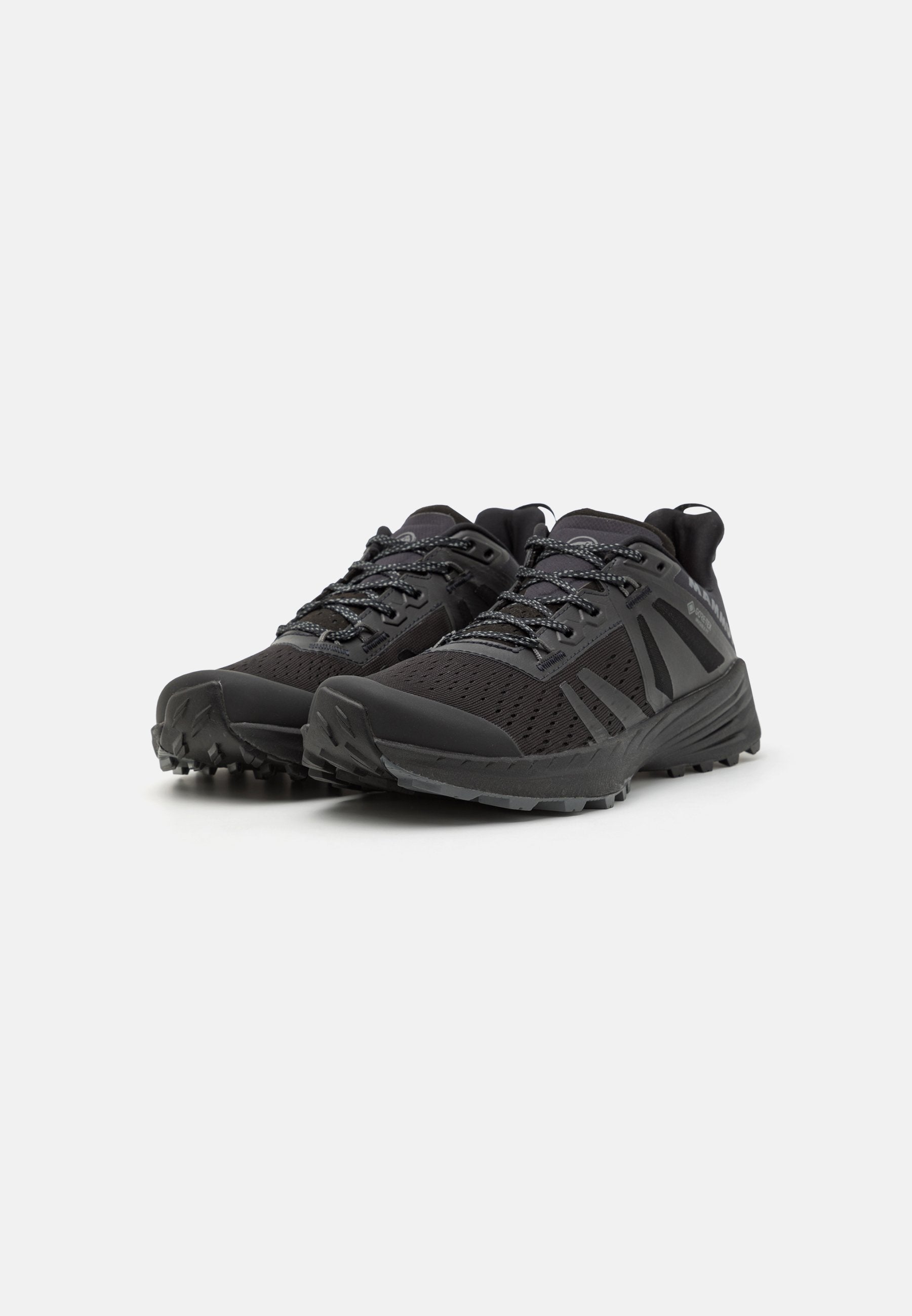 Mammut SAENTIS TR GTX