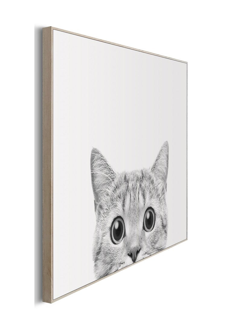 Orange Wallz CATS EYES