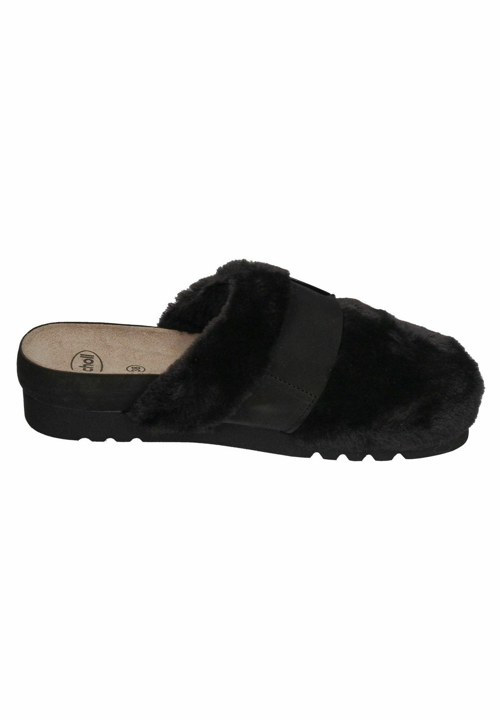 Scholl ALASKA