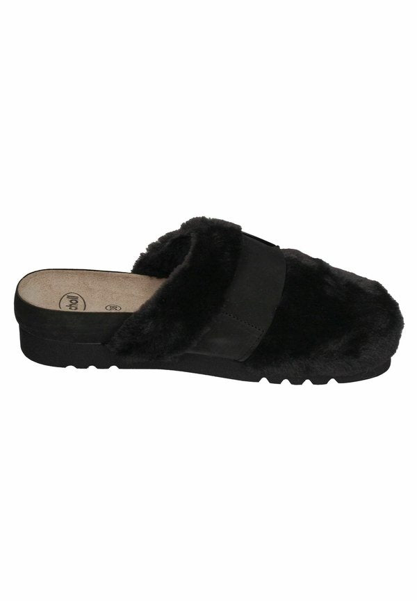 Scholl ALASKA