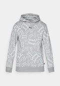 Puma TEAMJAWS POST GAME HOODIE - Hoodie - medium gray heather