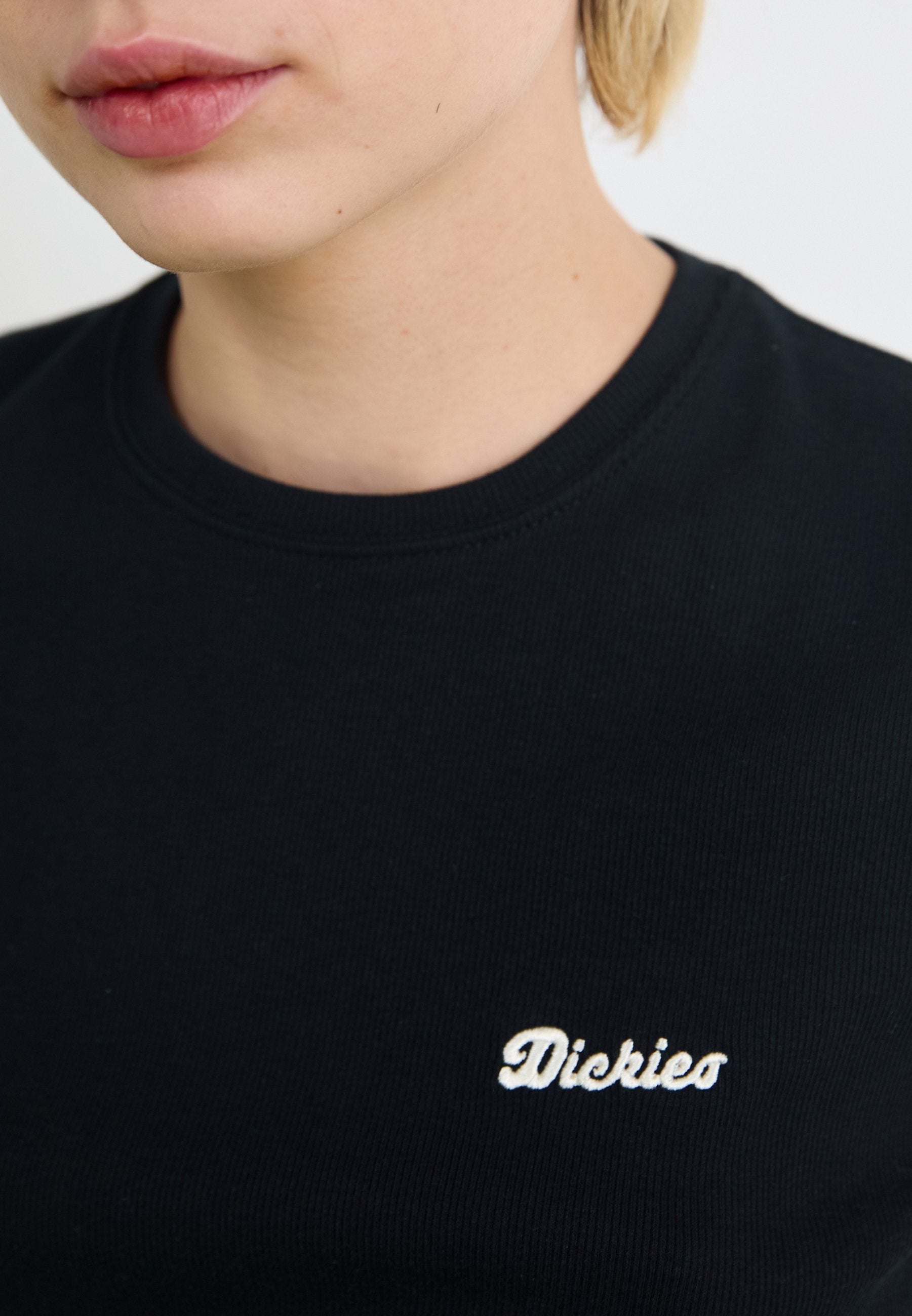 Dickies LEWISTOWN TEE