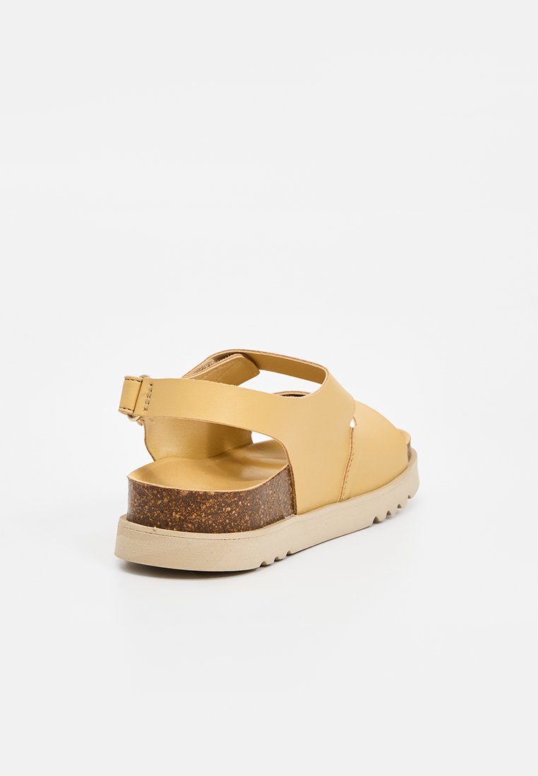 Scholl SIERRA