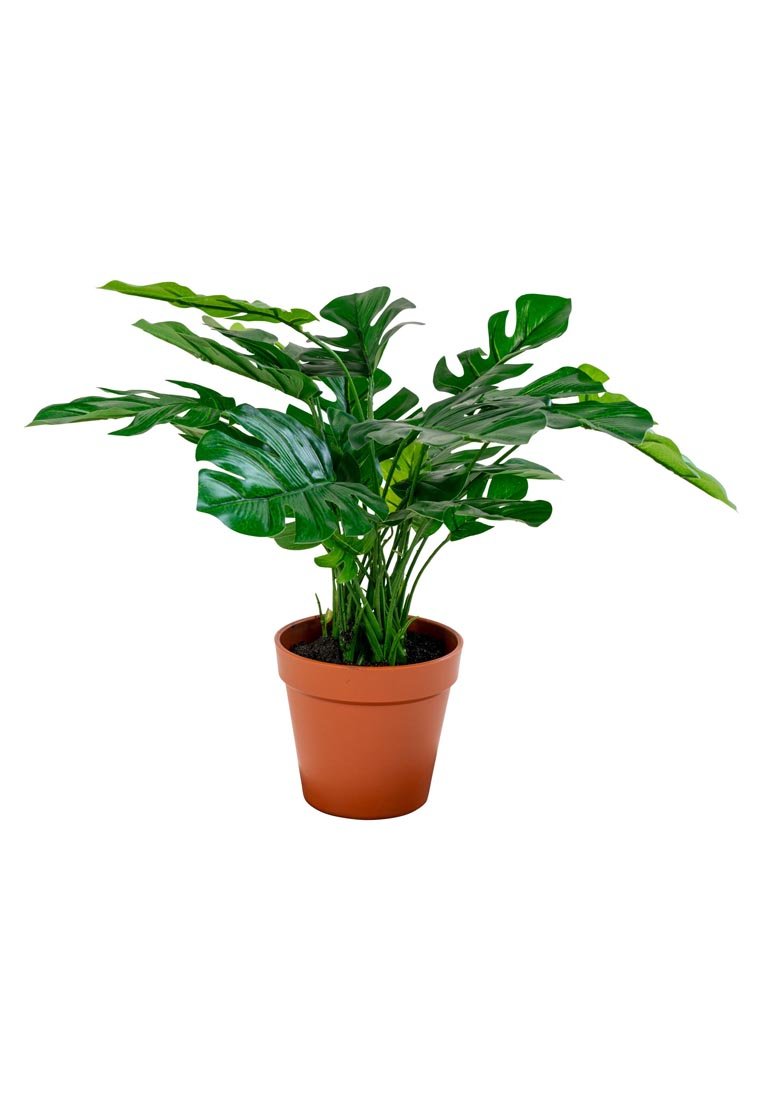 House Nordic MONSTERA