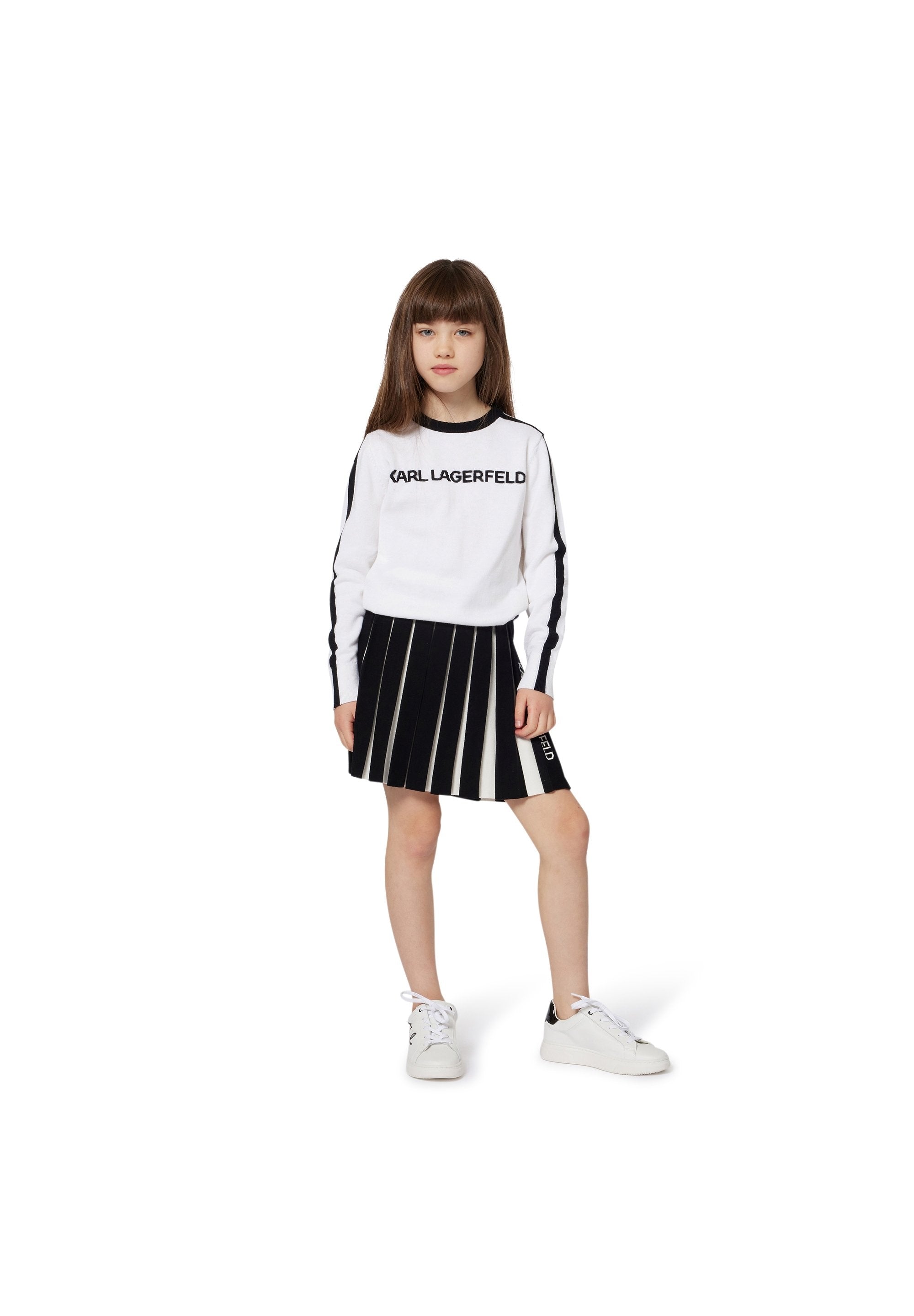 SKIRT Media 2