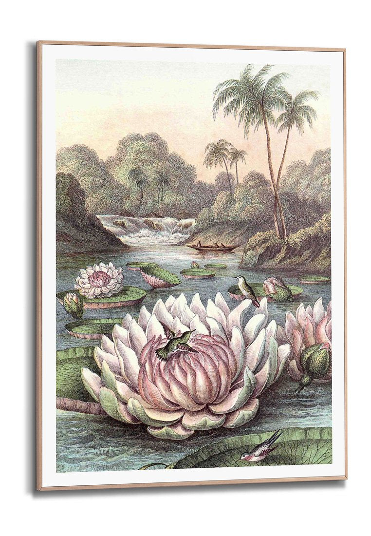 Orange Wallz WATERLILY