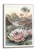 Orange Wallz WATERLILY