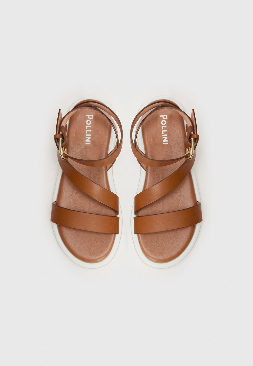 Pollini