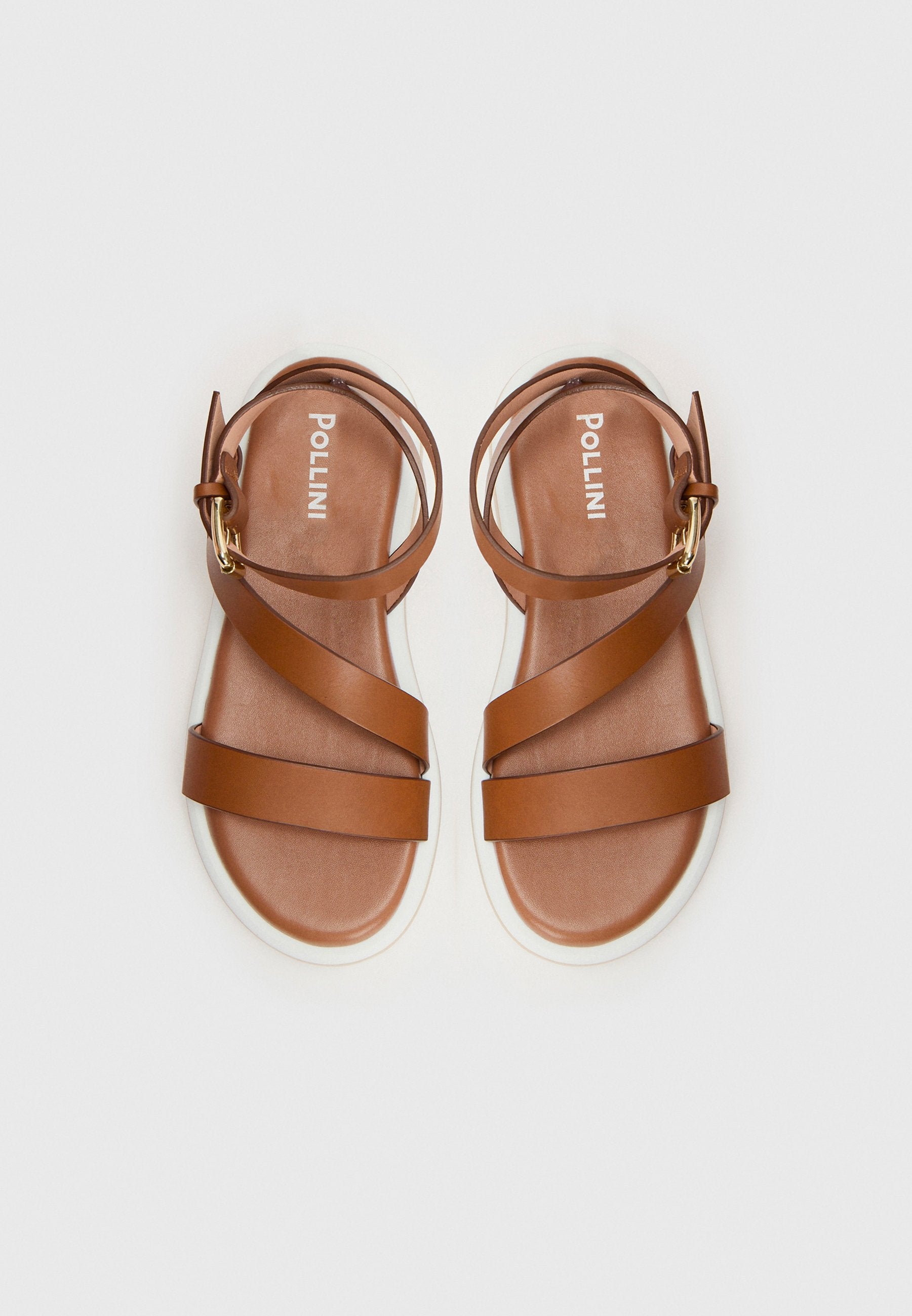 Pollini
