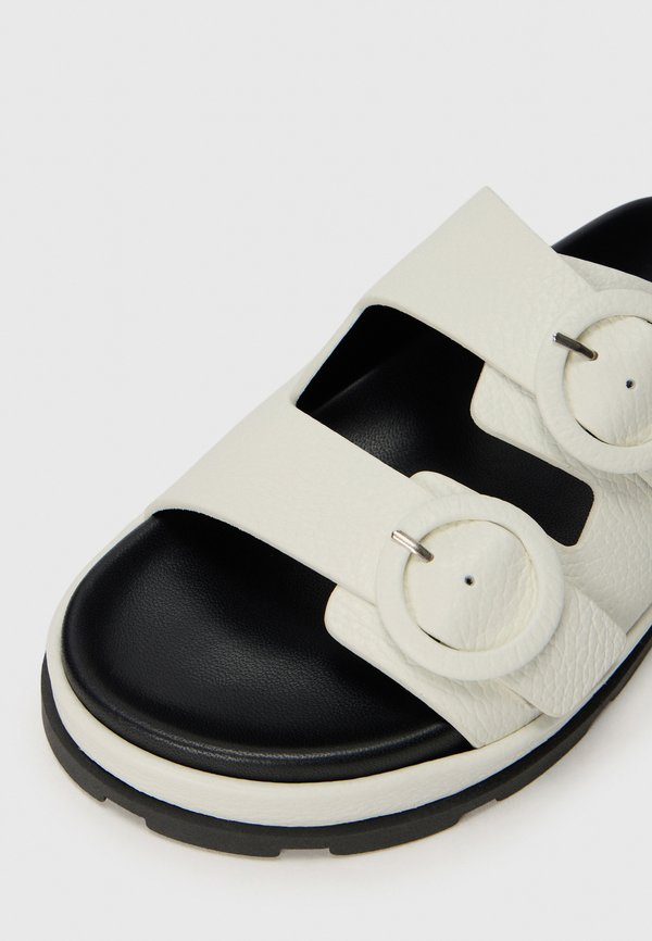 Pollini