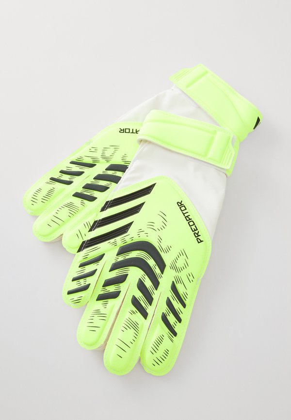 adidas Performance PREDATOR GLOVE TRAINING