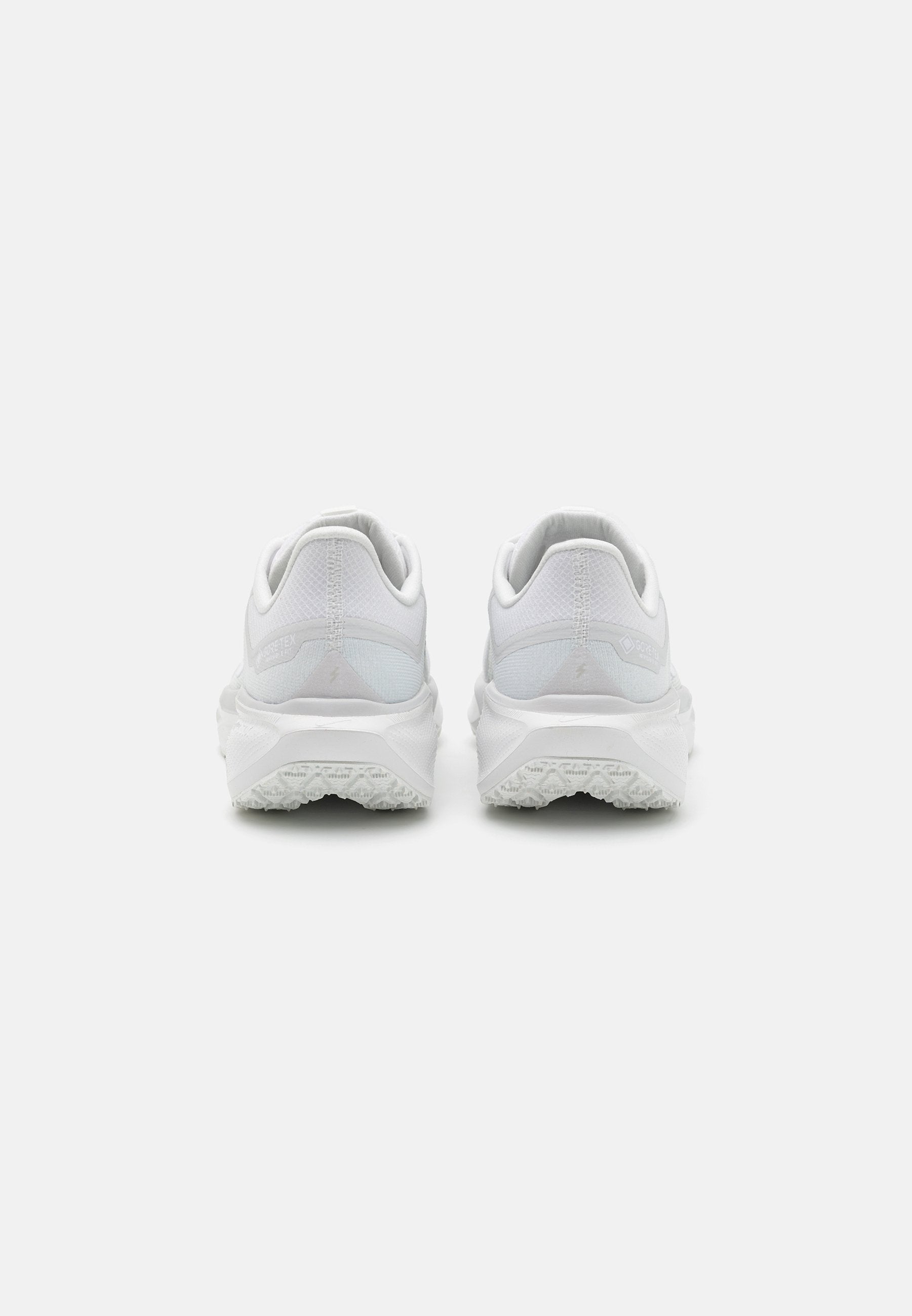 Nike Performance PEGASUS 41 GTX