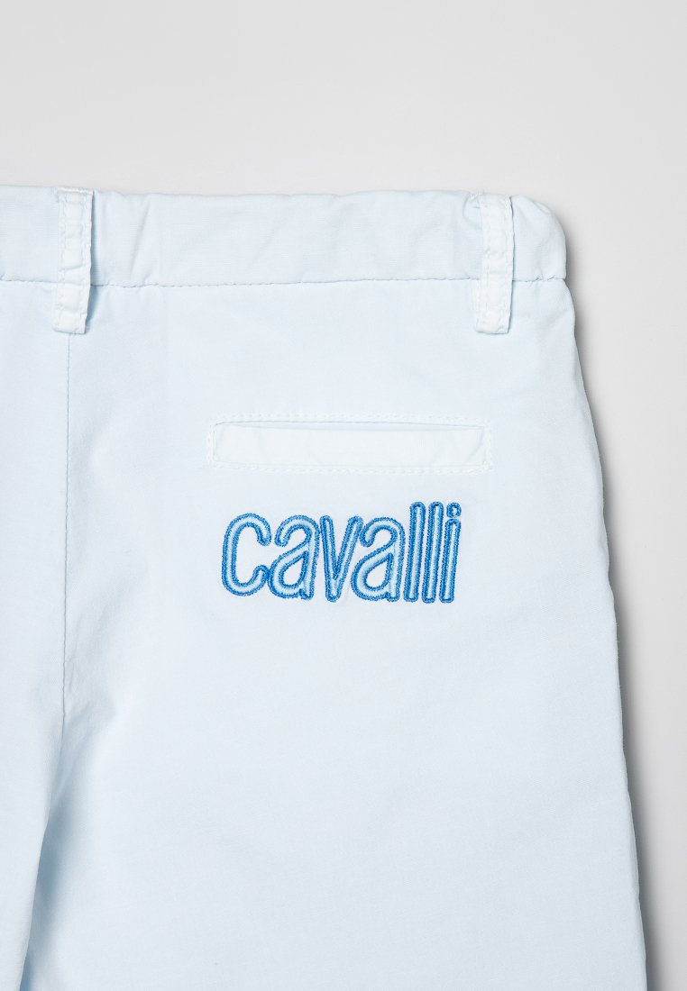Roberto Cavalli Junior