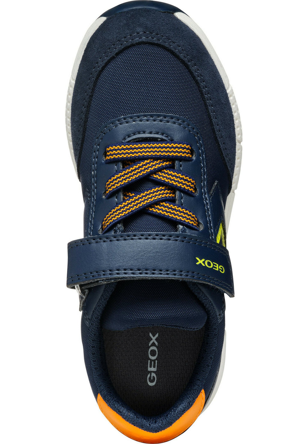 Geox  ALBEN