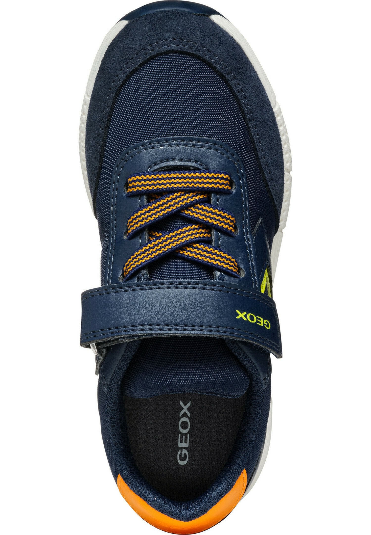 Geox  ALBEN