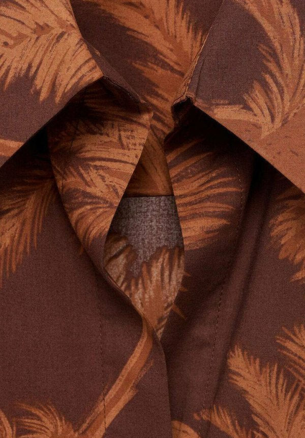 Mango PALM TREE