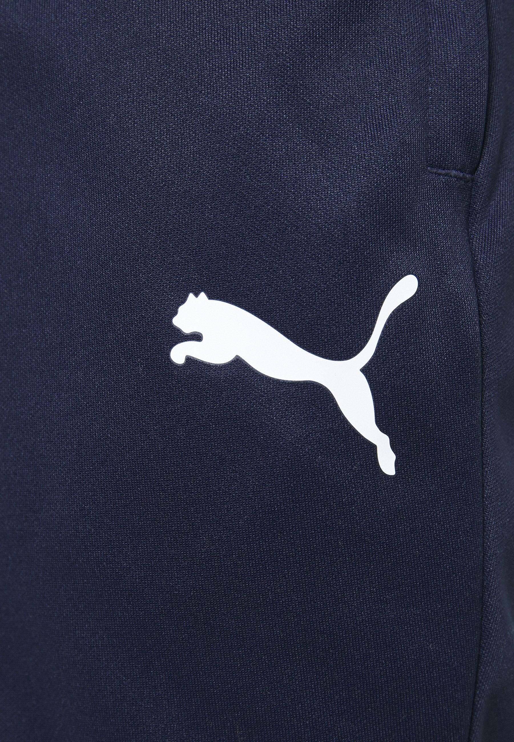 Puma TEAMLIGA TRAINING PANTS