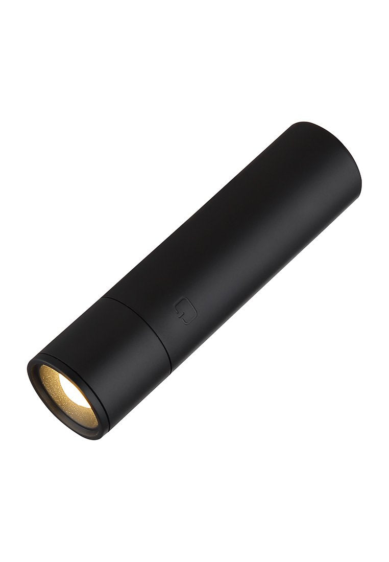 GLOBO Lighting ANDRA 4-IN-1