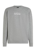 Grauer Pullover aus einem Stoff mit weicher Textur. Hat einen runden Halsausschnitt, lange Ärmel und weißen Text mit der Aufschrift "Die Zukunft Surf Gesellschaft."