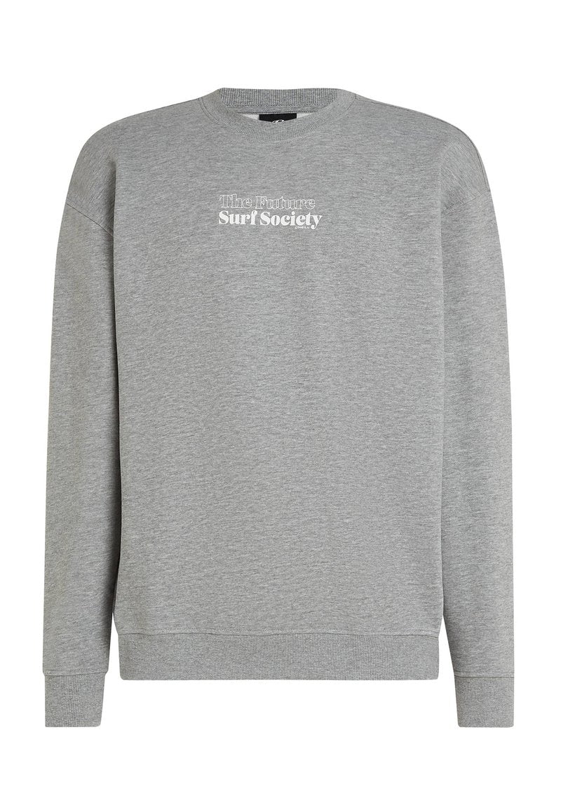 Grauer Pullover aus einem Stoff mit weicher Textur. Hat einen runden Halsausschnitt, lange Ärmel und weißen Text mit der Aufschrift "Die Zukunft Surf Gesellschaft."