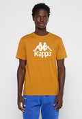 Kappa ESTESSI