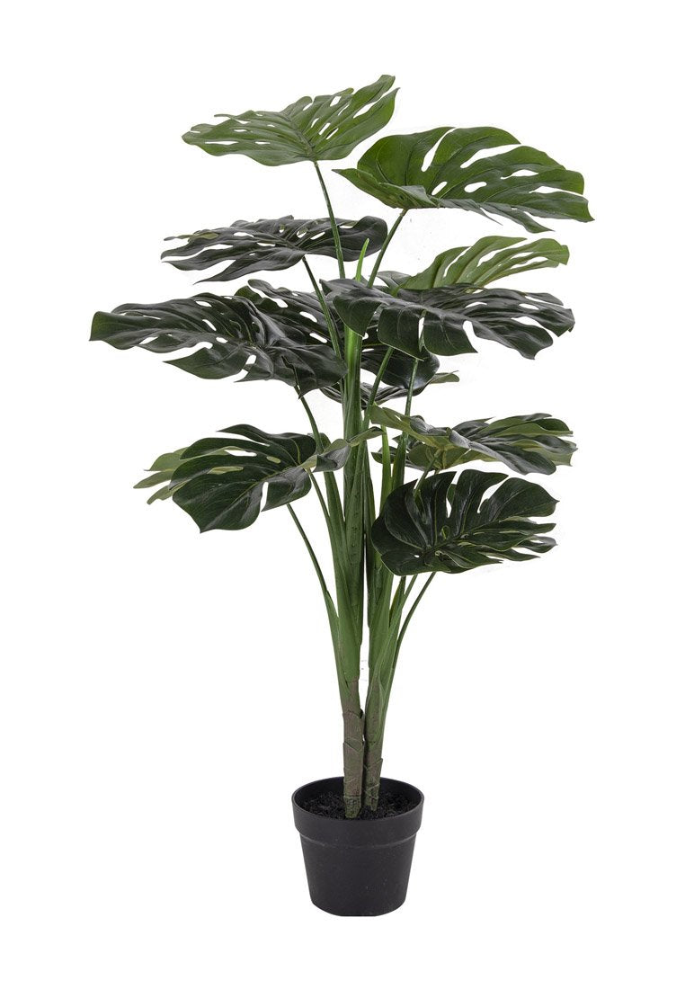House Nordic MONSTERA